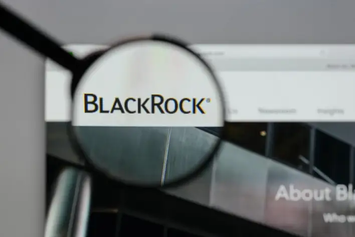BlackRock just bought $217 million of these two cryptocurrencies