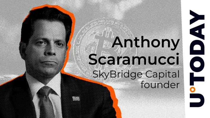 Scaramucci Reacts to Another Billionaire Backs Bitcoin