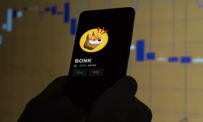 BONK dips 11% despite getting corporate treasury boost: check forecast