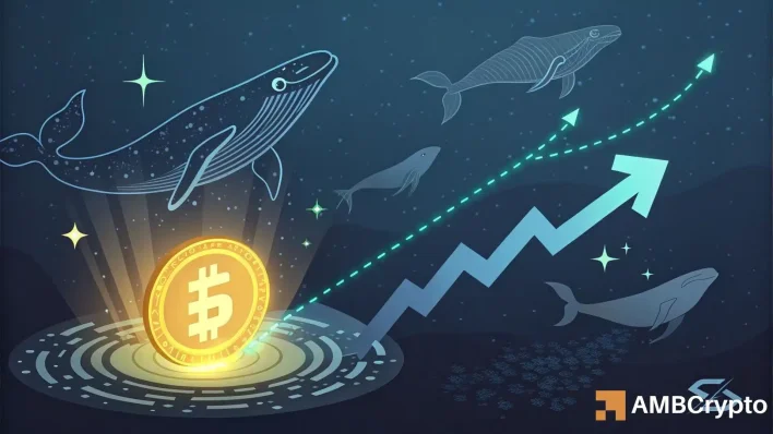 Whales circle Sonic: Is a breakout to $0.62 just around the corner?