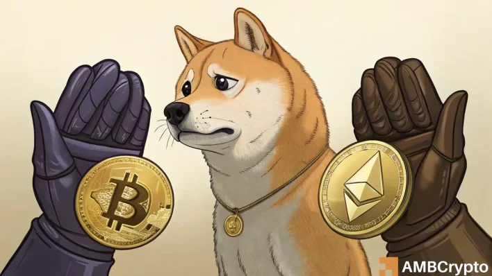 Why traders are fleeing Dogecoin even as Bitcoin, Ethereum stay strong