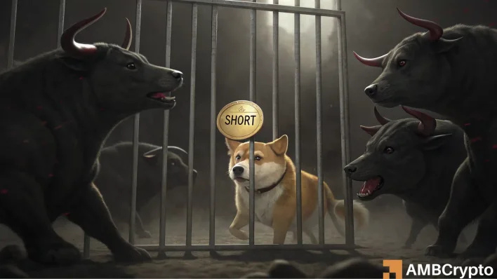 Dogecoin consolidates – Is DOGE setting up a bear trap for $0.20?