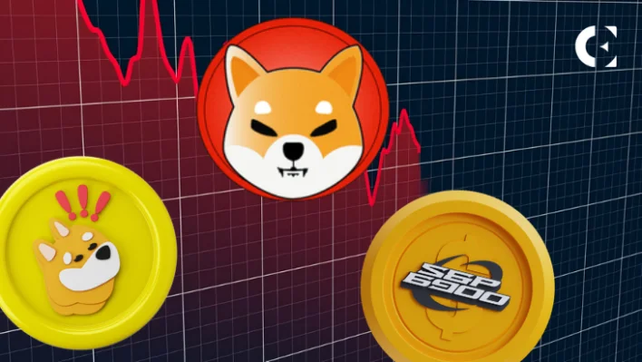 SPX6900 Leads Meme Coin Slump as Sector Market Cap Falls to $54.8 Billion