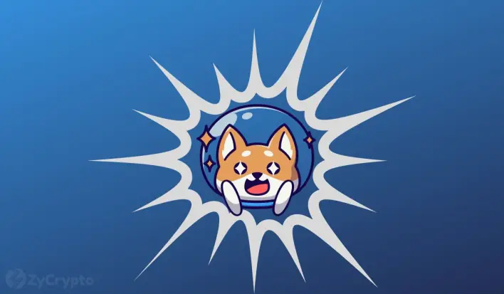 Shiba Inu’s Bold Move On Shibarium Pushes Users Toward Decentralized Node Operation