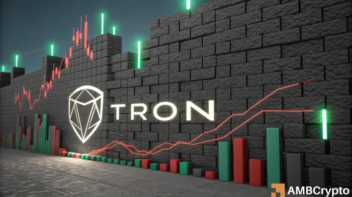 TRON bulls must defend THIS support level for recovery – Can they do it?