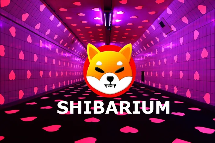 Shiba Inu Community Educated on Shibarium Importance