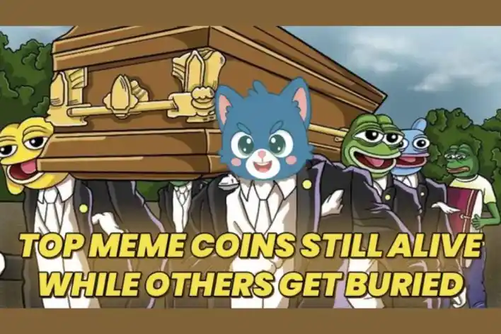 This Cat Sang on Friday, Earned 69% APY, and Scratched Into the Top 10 Meme Coins