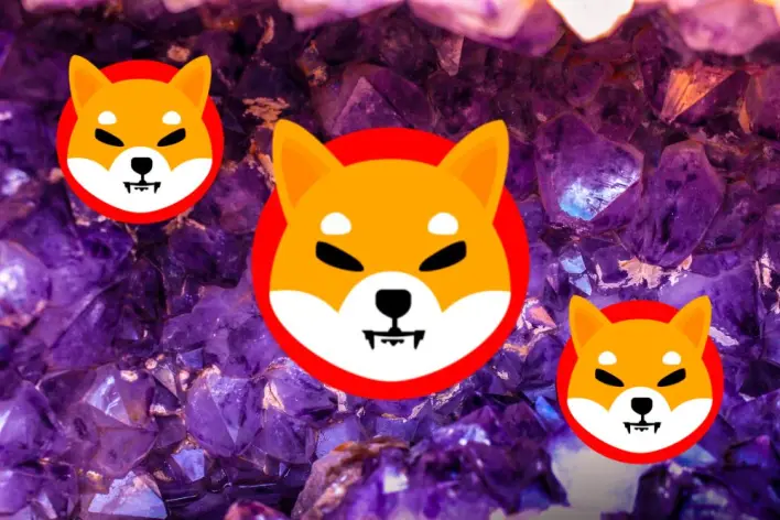 Shiba Inu (SHIB) Goes Mainstream In The U.S. Here’s The Latest