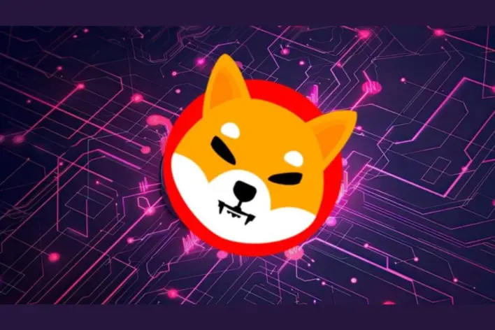 Google Gemini Sets Shiba Inu (SHIB) Price for August 31, 2025