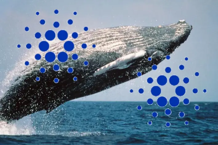 Big Cardano Whales On ADA Buying Spree. They Foresee Big Breakout to $1