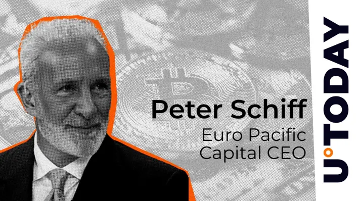 'No One Needs Bitcoin', Peter Schiff Downplays BTC Price Surge