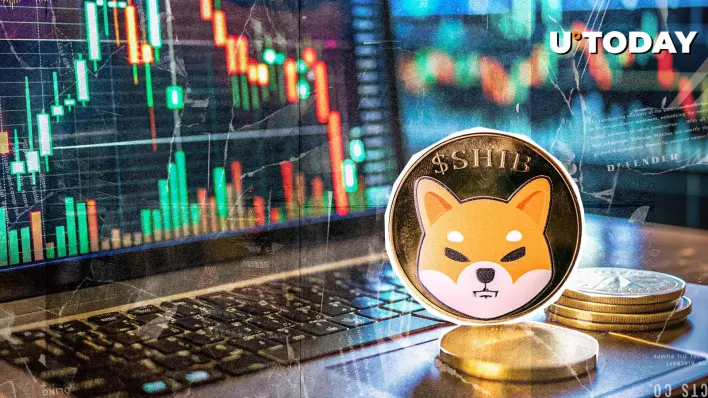 1,660,000,000,000 SHIB in 24 Hours: Volatility on Verge of Exploding
