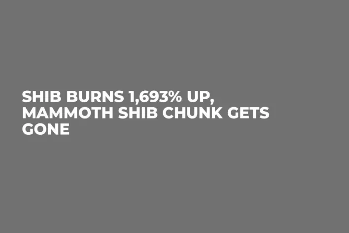 SHIB Burns 1,693% Up, Mammoth SHIB Chunk Gets Gone