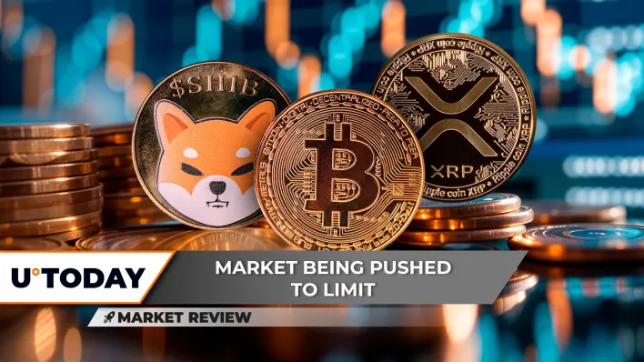 Shiba Inu (SHIB) Bears Got Destroyed, Bitcoin (BTC) Price Squeeze is Next, This is XRP's Chance