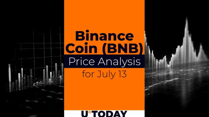 Binance Coin (BNB) Price Analysis for July 13