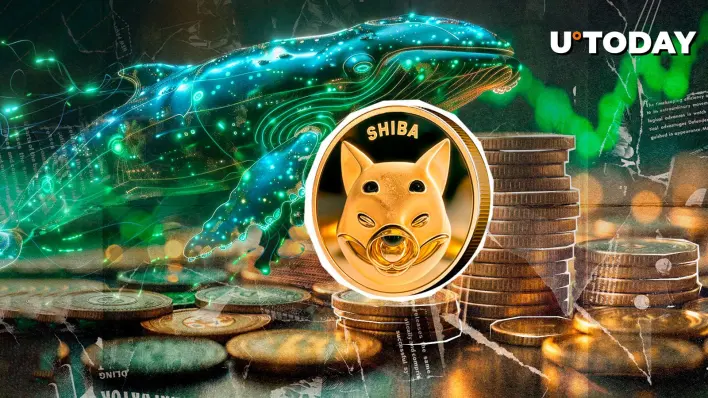 Abnormal Shiba Inu (SHIB) Whale Activity Ends Up with 73% Crash