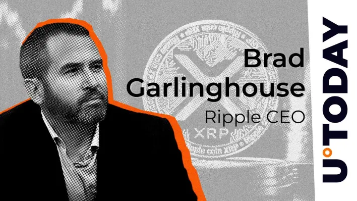 Ripple CEO Sounds the Alarm Over YouTube XRP Scam