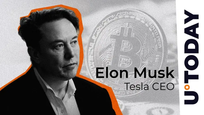Cracking Satoshi’s Wallets? Elon Musk Weighs In
