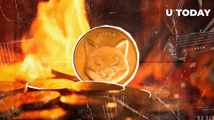 SHIB Burns Skyrocket 116,757 % - What's Happening?