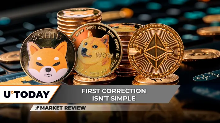 Shiba Inu (SHIB) Lost it All, Dogecoin (DOGE): This is Unexpected, Ethereum (ETH) Is Too Strong
