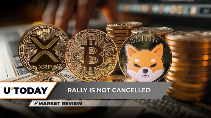 Bitcoin’s 2025 Dominance Cracks, XRP: Top-5 Rally in 2025, Shiba Inu (SHIB): Key Breakthrough in Process?