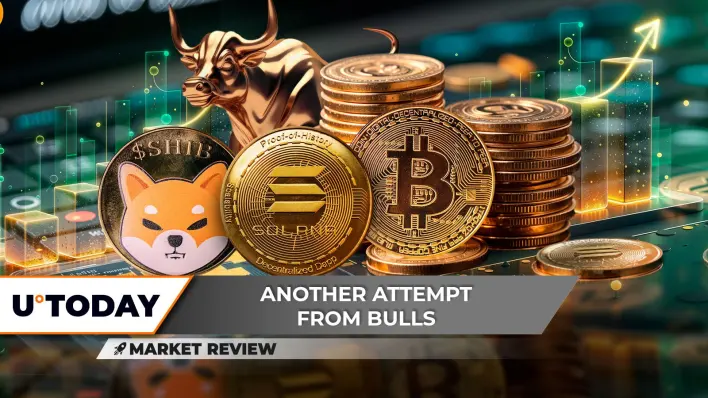 Shiba Inu (SHIB): Moon or Doom Price Moment, Will Solana (SOL) Golden Cross Help? Bitcoin (BTC) Price Explosion is Coming,