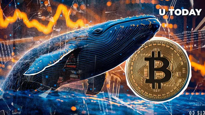 Satoshi-Era Bitcoin Whale Moves Another $2.42 Billion, What's Happening?