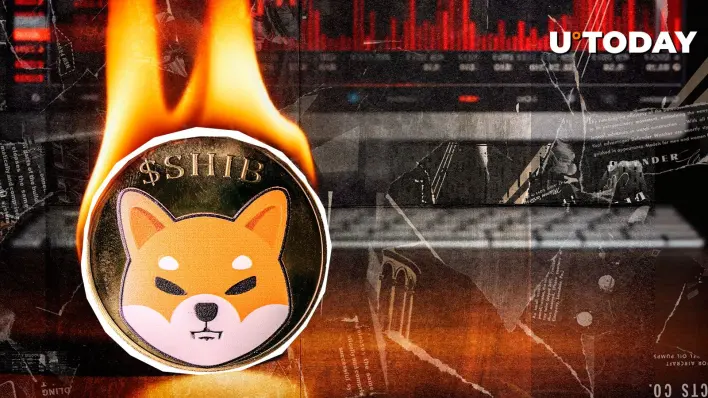 SHIB Burns Rocket 158%, But Failure Strikes Anyway