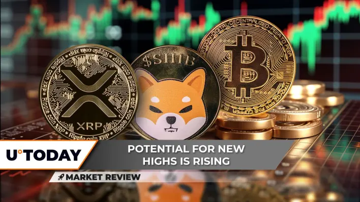 XRP Can Become Unstoppable, Bitcoin (BTC) When Next ATH? Shiba Inu (SHIB): Ready For Bigger Price Rally