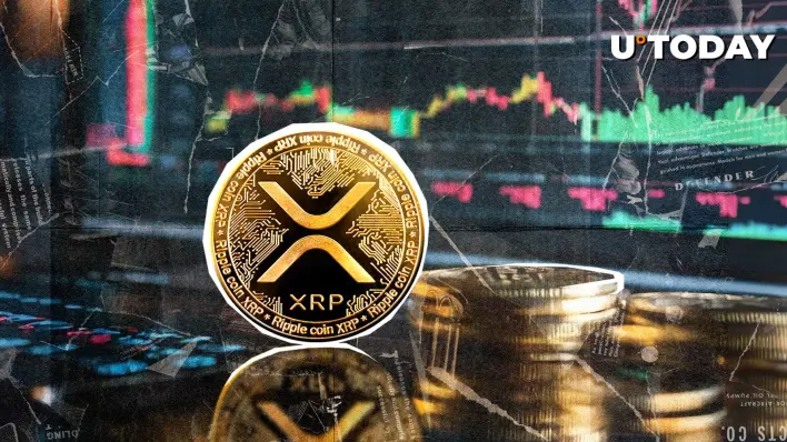 Binance, Coinbase Among Largest XRP Holders, See Full Top 10 List