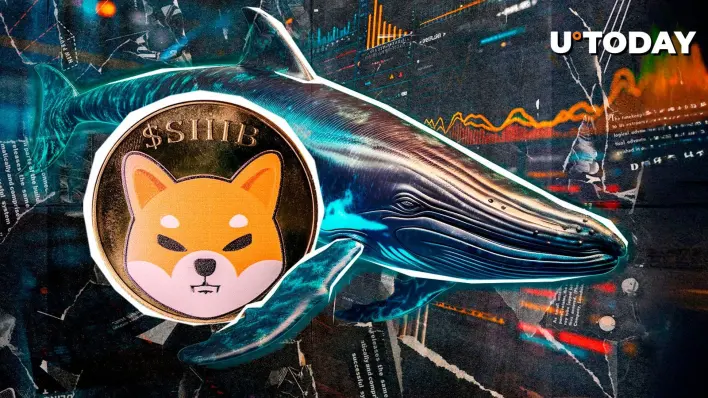 41.04% of Shiba Inu Token Supply Held By Single Whale, Who’s Behind It?