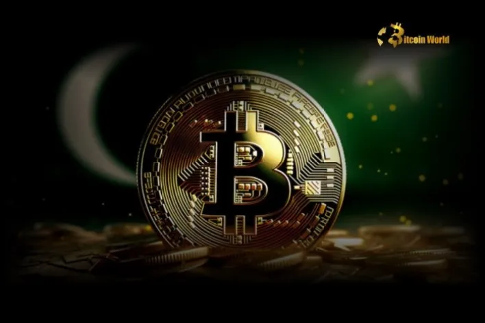 Unlocking Potential: Pakistan Pioneers Blockchain for Remittances and Web3 Innovation