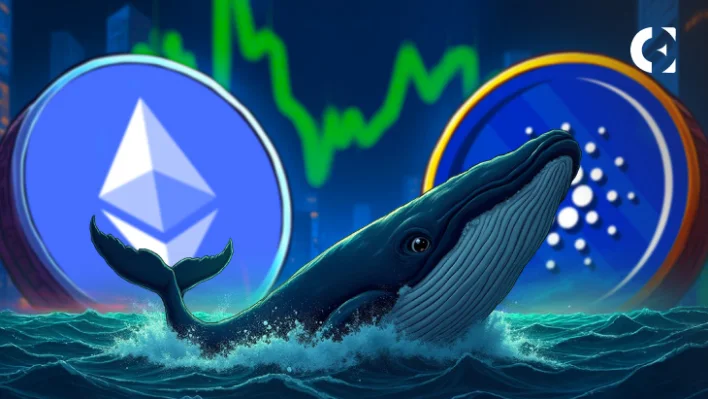 Whales Accumulate ETH and ADA as Retail Sells in Fear, Data Shows