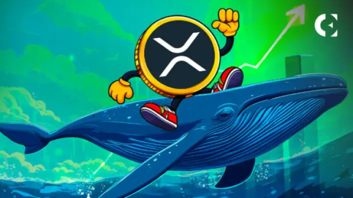 XRP Whale’s $3.7 Billion Vote of Confidence in Ripple’s Push for a US Bank License