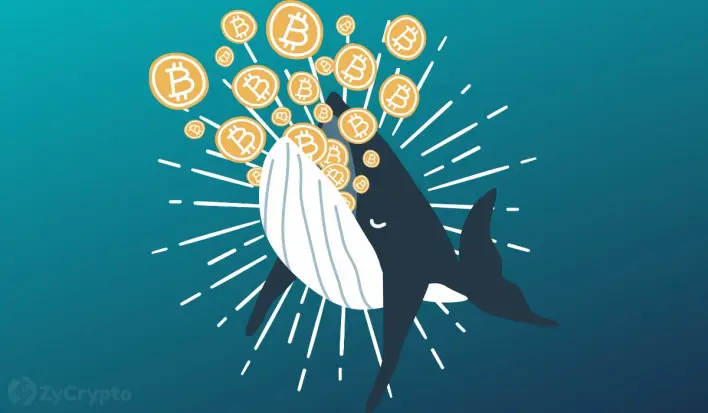Crypto Whales Dump Over 40,000 BTC as Traders Enter “Uncertain” Zone