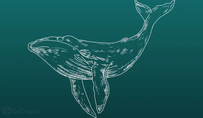 Justin Sun, Whales, Withdraw $1.7 Billion ETH From Aave, What’s Going On?