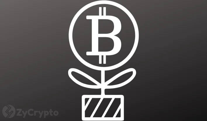 White House Crypto Chief Bo Hines Steps Down Amid U.S. Bitcoin Reserve Plans