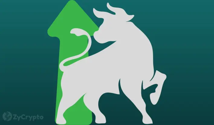 Arthur Hayes Envisions Highly Anticipated “Monster Altcoin Season” for ETH, XRP, ADA, SOL, DOGE, SHIB
