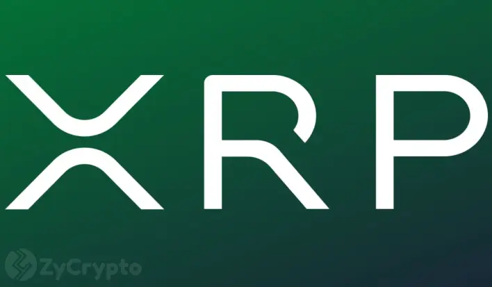 XRP Whale Accumulation Hits +300 Million Coins as History Suggests Major Eruption Coming