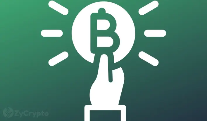Elon Musk Asserts Fiat Is ‘Hopeless’, Confirms His New America Party Will Embrace Bitcoin