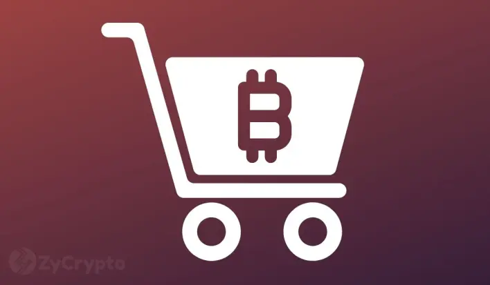 Bitcoin Buying Sprees Accelerate As Metaplanet, Smarter Web Boost BTC Reserves With Roughly $100 Million Purchases