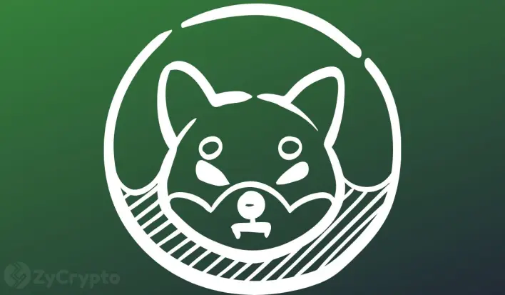 Shiba Inu Whale Holdings Explode 3,000% as SHIB Eyes 300% Rally Like 2023