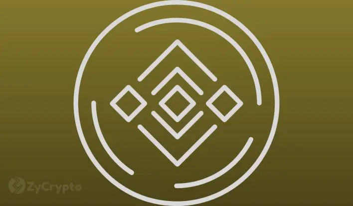 Massive Accumulation Spur BNB To All-Time High as Market Cap Tapped $163 Billion