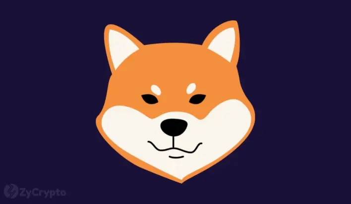 Shiba Inu Snaps Out of Slumber as Whales Shift 615 Trillion SHIB in Massive Move