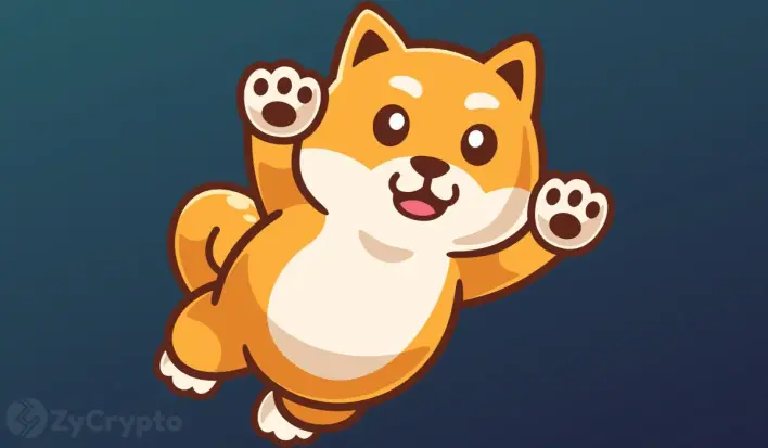 Shiba Inu Whales Strike Big with 1.81 Trillion SHIB Haul as 110% Rally to $0.000029 Looms