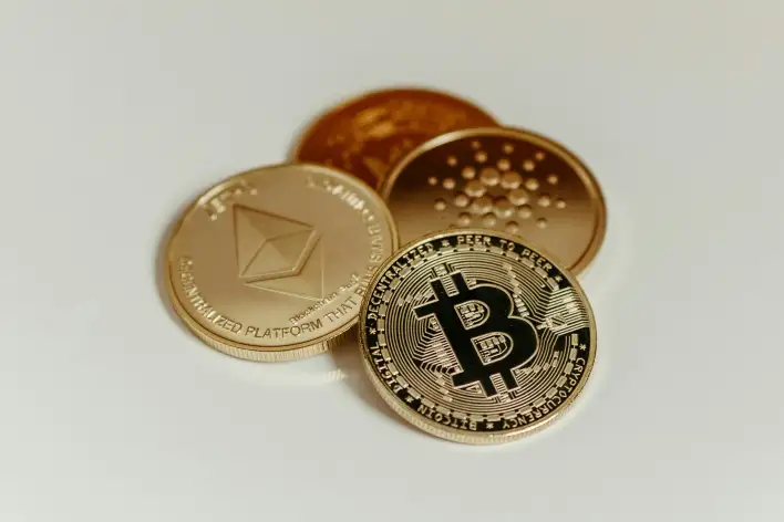 Top US Finance Expert: Bitcoin Deserves A Bigger Slice Of Your Portfolio