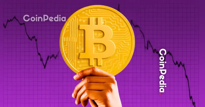 Long-Term Bitcoin Holders Sell as Market Rally Continues