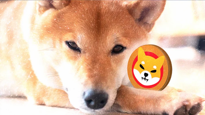 Shiba Inu Attracts Attention with Major Market Moves